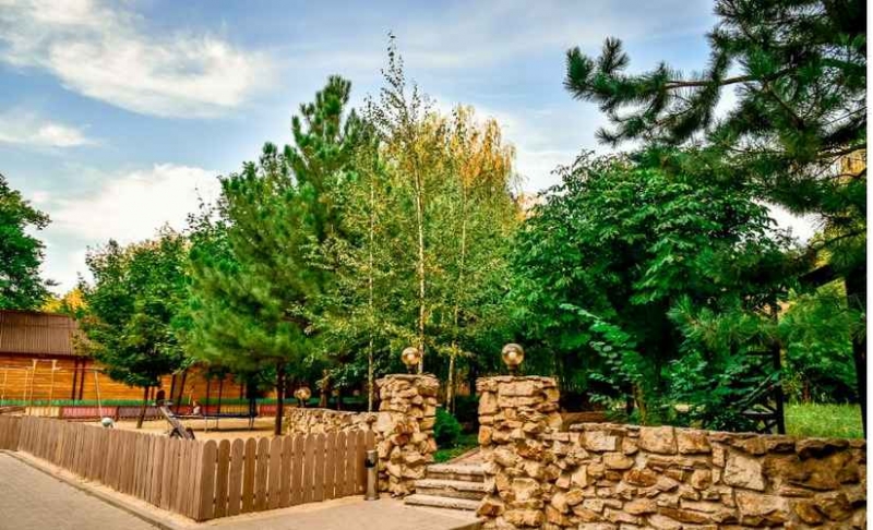 ����� ����������� 2355 � ��, ���������, ����