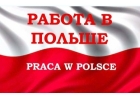 Как же найти работу в Польше